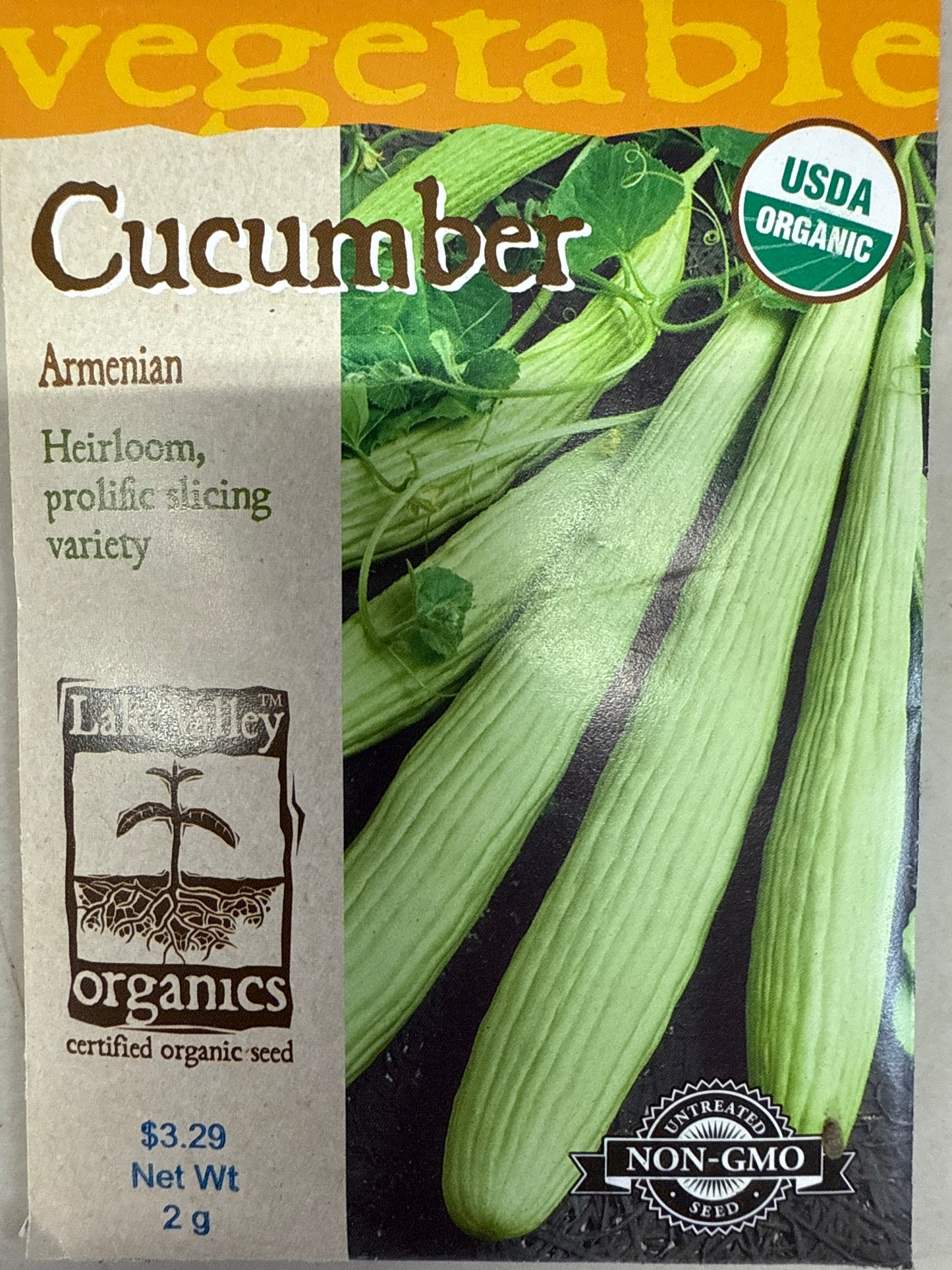 Cucumber - Armenian