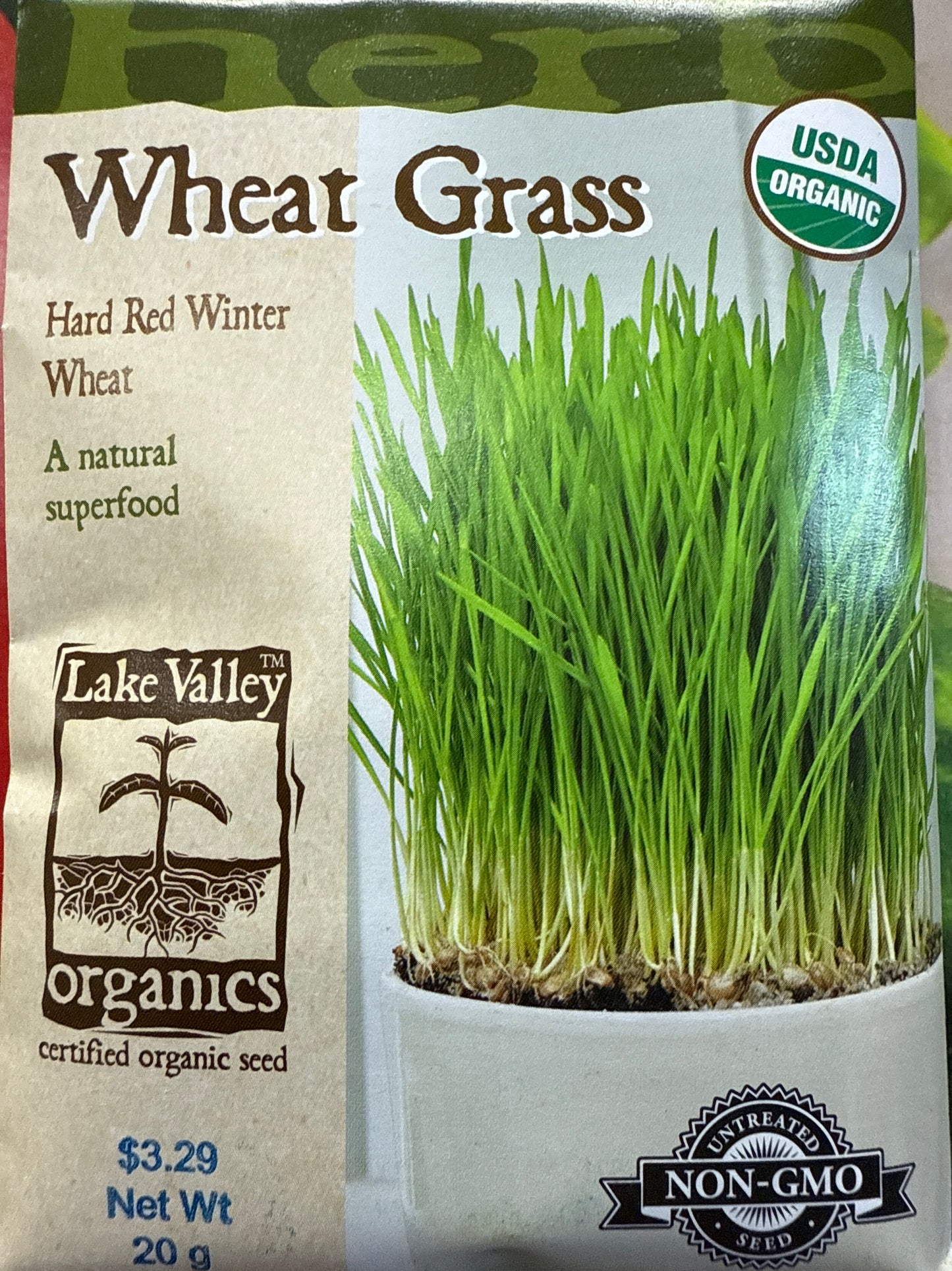 Wheat Grass - Hard Red Winter Wheat