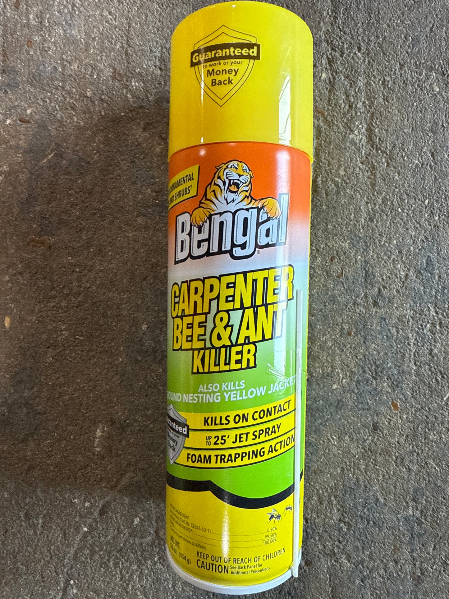 Bengal Carpenter Bee & Ant Killer 16oz