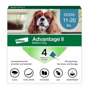 Advantage Dog 4 Month Topical Flea Protection