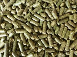 Alfalfa Pellets 50lbs