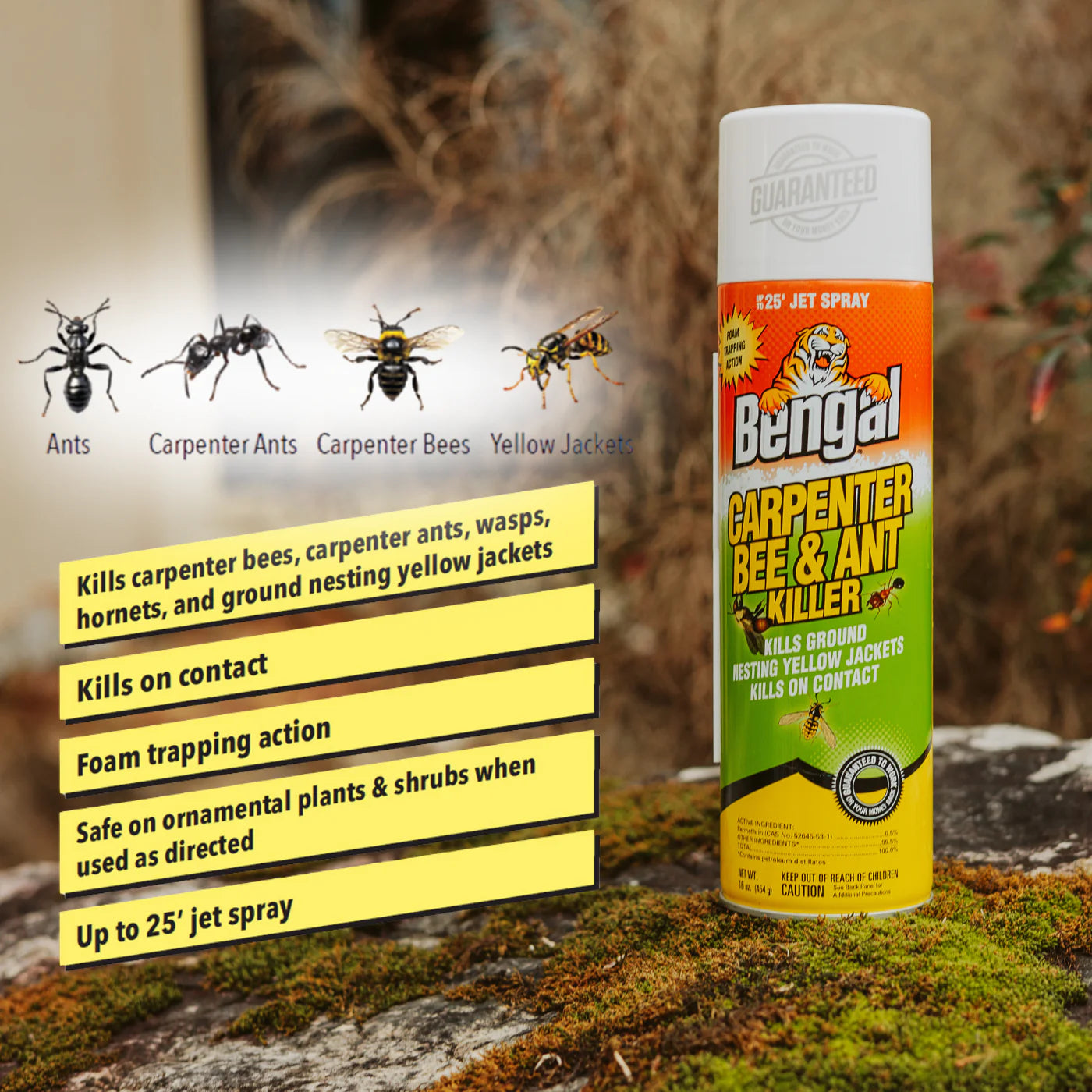 Bengal Carpenter Bee & Ant Killer 16oz