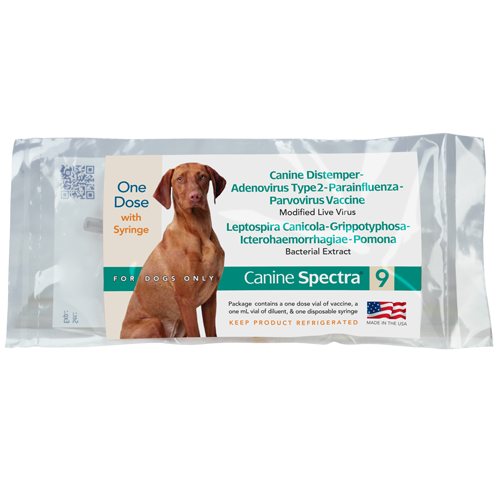 Spectra Injectable- 1 dose syringe (Keep Refrigerated)