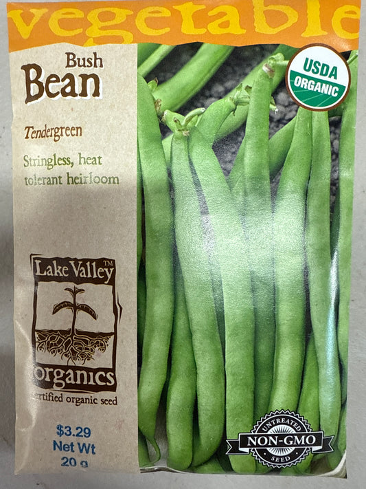 Bush Bean - Tendergreen