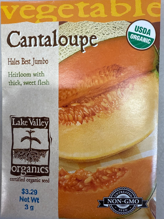 Cantaloupe - Hales Best Jumbo