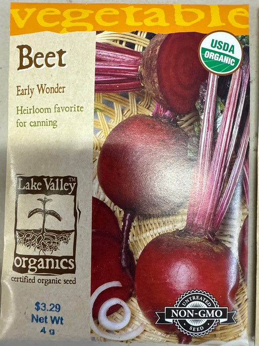 Beet - Early Wonder