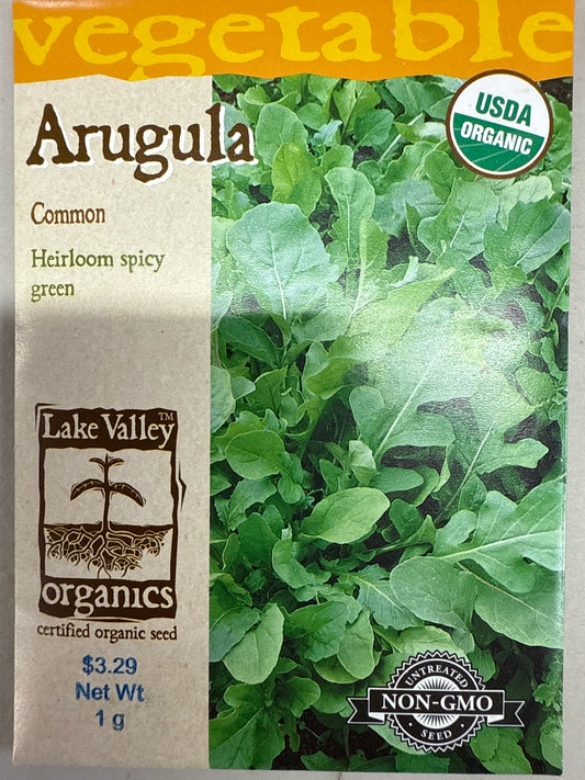 Arugula - Common