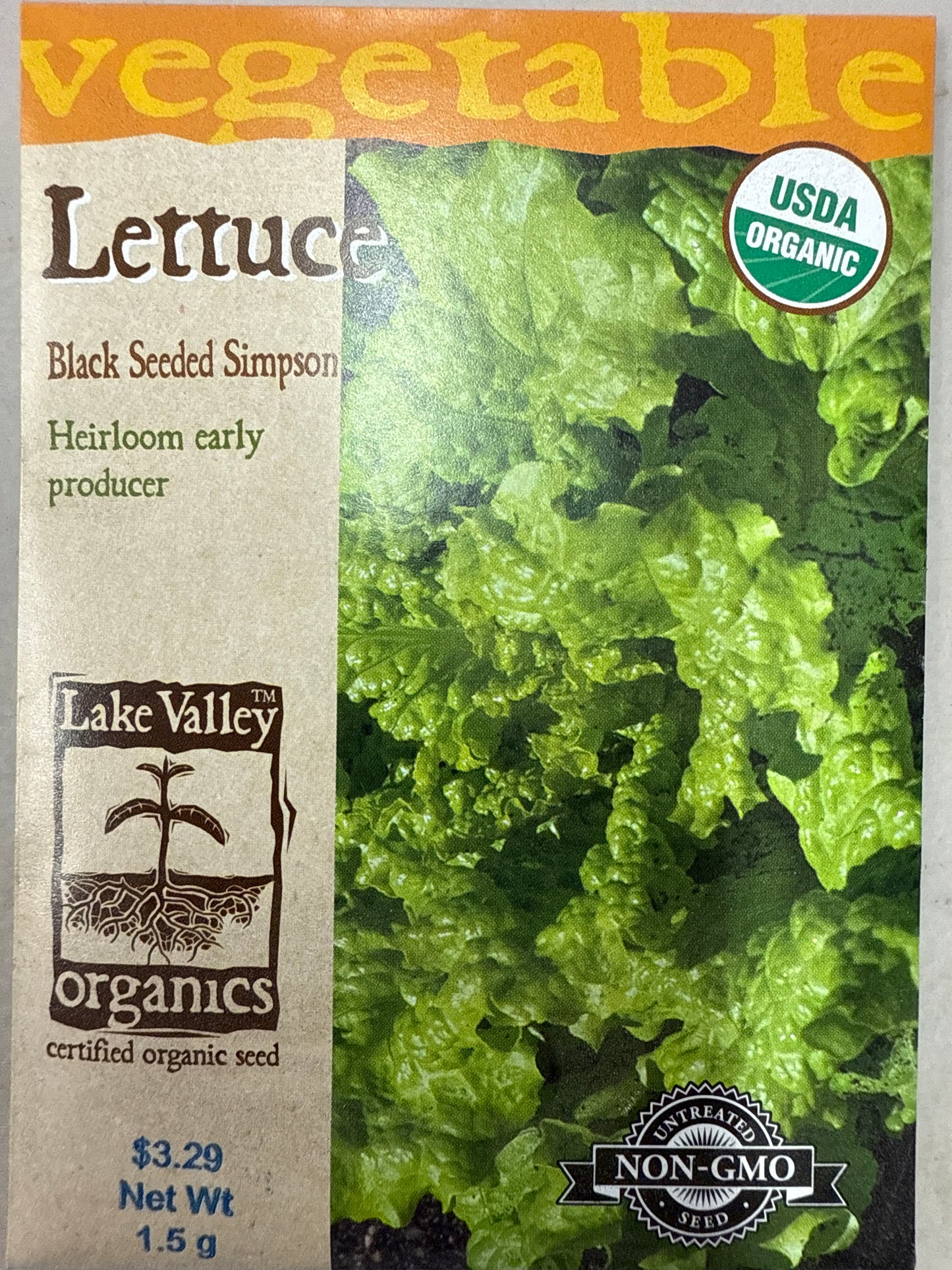 Lettuce - Black Seeded Simpson