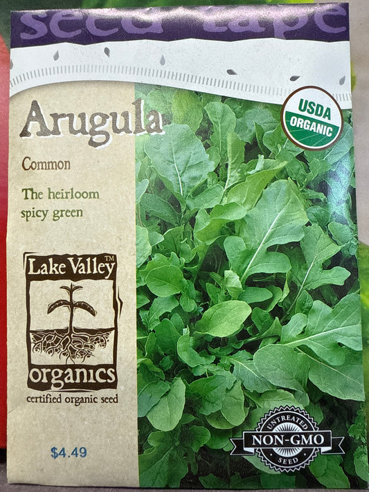 Arugula - Common