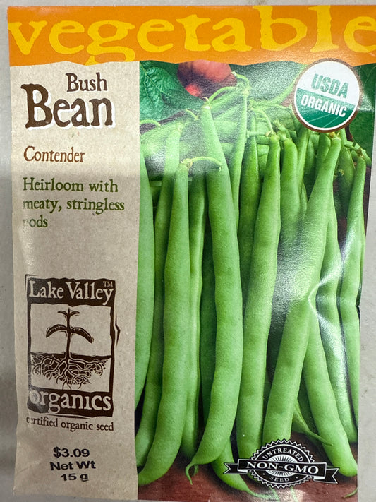 Bush Bean - Contender