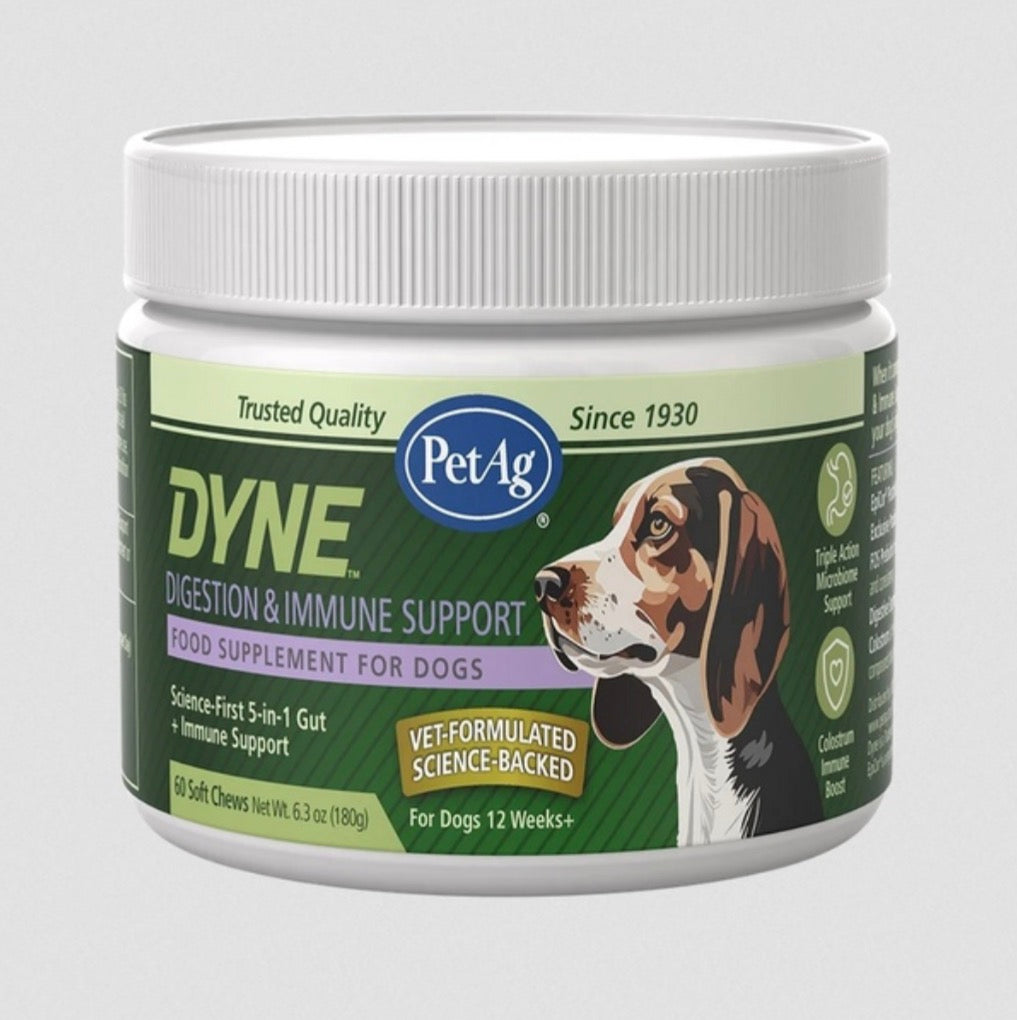 Dyne Digestion and Immune Support Soft Chews Chicken Liver Flavor 60ct