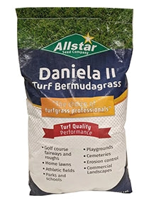 Common Bermuda Grass Hulled & Coated