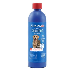 Adams Plus Shampoo 12oz