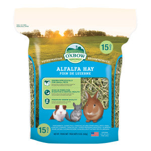 Alfalfa Hay
