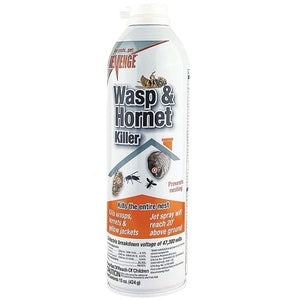 Wasp & Hornet Killer 15oz Jet Spray
