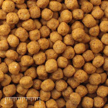 Mazuri Parrot Food 25lbs