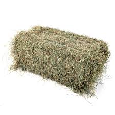 Hay Bale