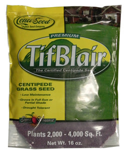 TifBlair Centipede