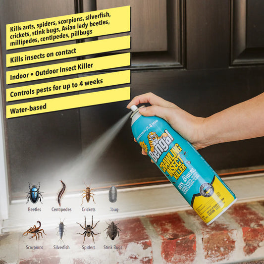 Bengal Crawling Insect Killer 16oz