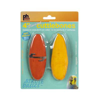 4-inch Cuttlebone (Flavored) / 2pc (Orange & Vanilla)