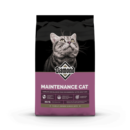 Diamond Maintenance Cat