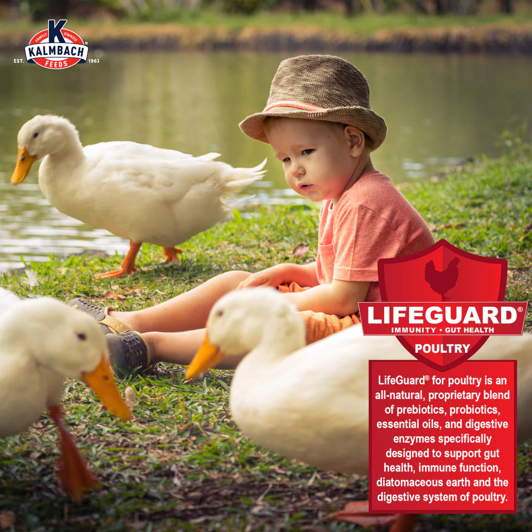 Kalmbach Duck, Goose & Swan Mini Pellet 50lbs