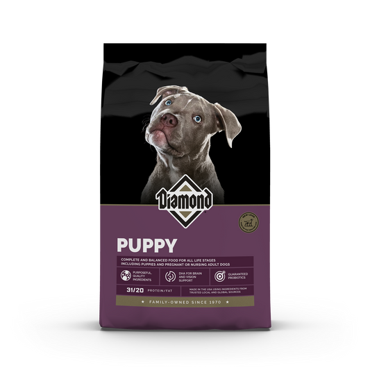 Diamond Puppy