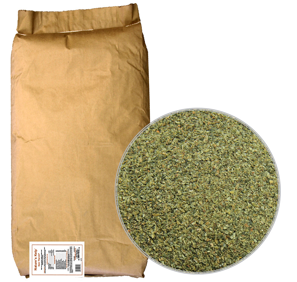 Organic Nature's Kelp 40lbs