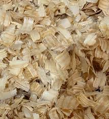 Pine Shavings