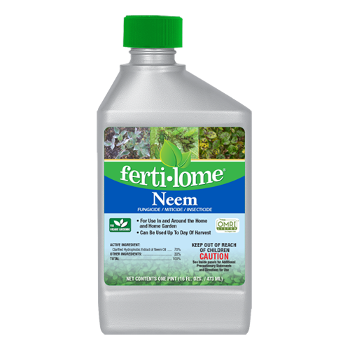 Neem