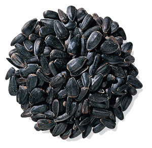 Black Oil Sunflower Seed
