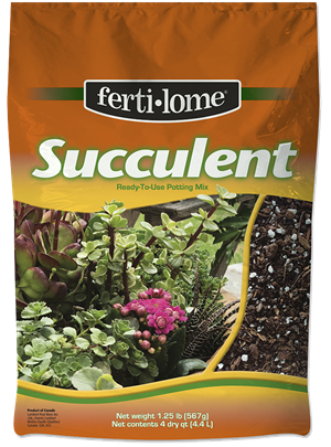 Fertilome Succulent Mix 4qt