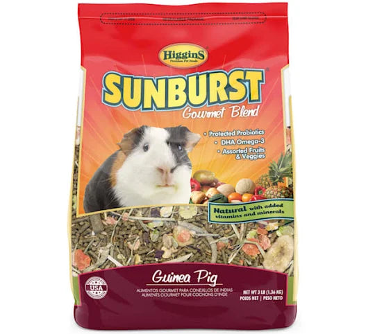 Higgins Sunburst Guinea Pig