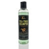 E3 Shampoos
