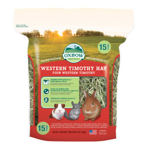 Timothy Hay