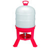 Plastic Dome Waterer