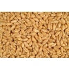 Wheat 50lbs